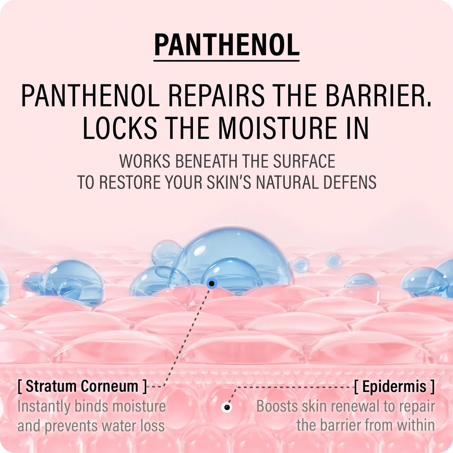 Epii Double Up Cream - Ectoin & Panthenol